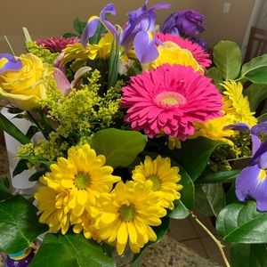 Meet your Posher, Tara